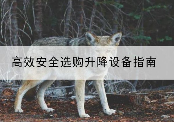瓜州升降货梯厂家推荐-*安全选购升降设备指南