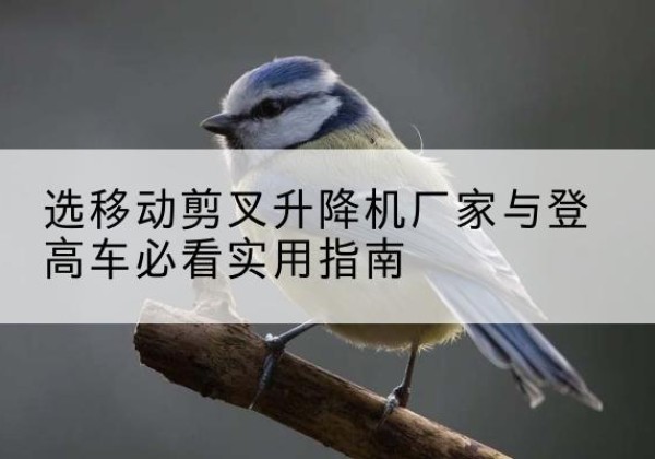 瓜州电动升降机厂家-选移动剪叉升降机厂家与登高车必看实用指南