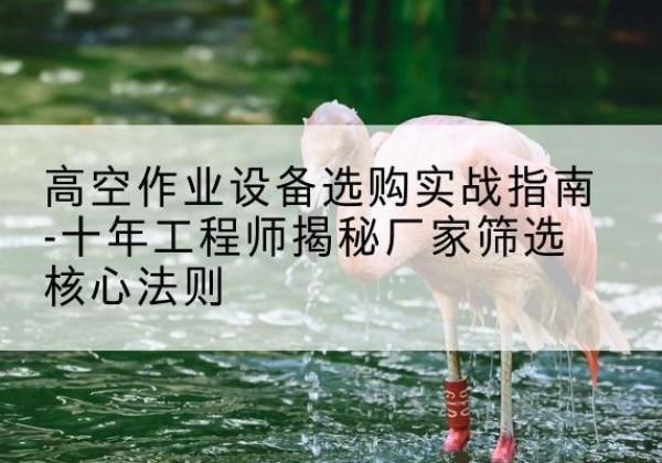 瓜州剪叉式升降机厂家-高空作业设备选购实战指南-十年工程师揭秘厂家筛选核心法则